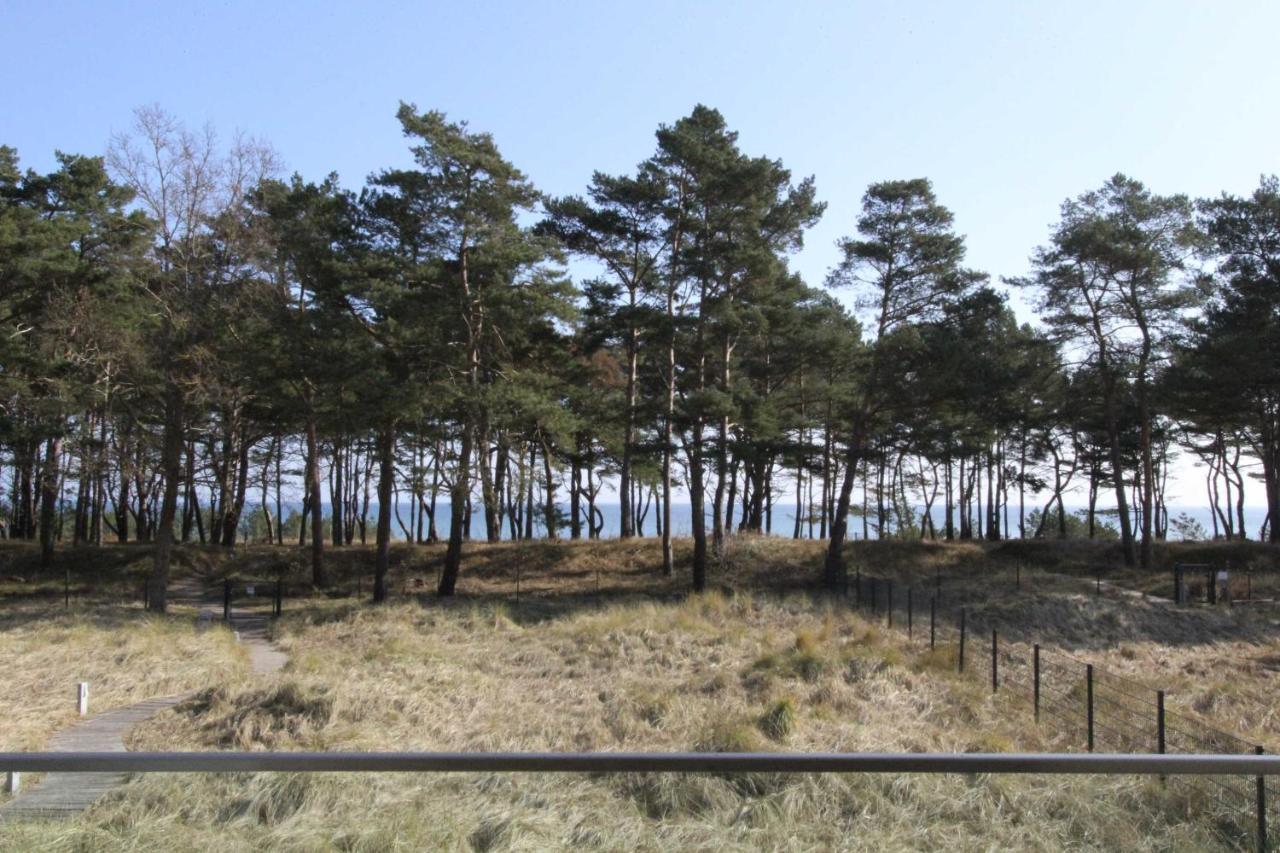 Strandresidenz Graugans A06 Inklusive 1 Strandkorb Apartment Ostseebad Binz
