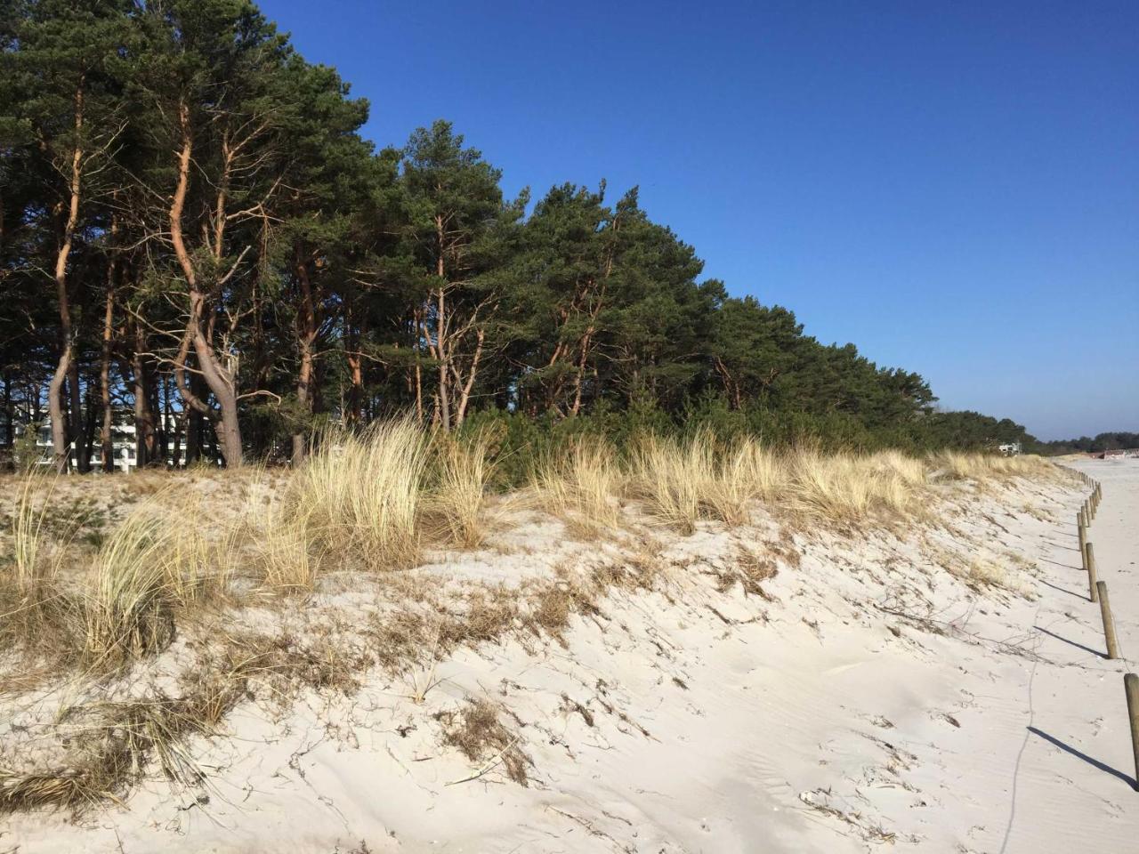 Strandresidenz Graugans A06 Inklusive 1 Strandkorb Ostseebad Binz